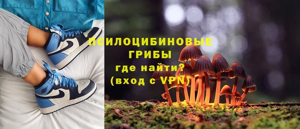 соль ск Абинск