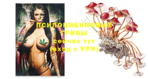 соль курить ск Абаза